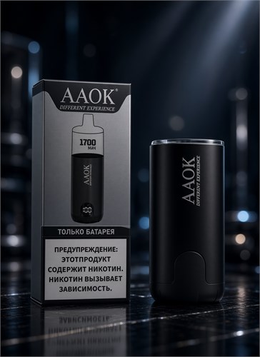 AAOK Different Expensive 1700 mAh 5808