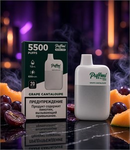 Puffmi MeshBox 5500 - 5500 затяжек 3427
