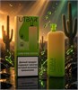 Flum Utbar 6000 - 6000 затяжек 5197