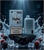 Puffmi Dura 9000 Ice - 9000 затяжек 5982