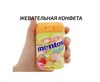 Жевательная резинка Mentos Pure Fresh, жвачка Ментос 6300