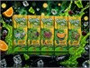 Жидкость Slime era shock x2 30 мл 20 мг hard 5549