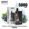 Rasht plus - 5000 затяжек 2205