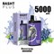 Rasht plus - 5000 затяжек 2205
