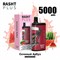 Rasht plus - 5000 затяжек 2205